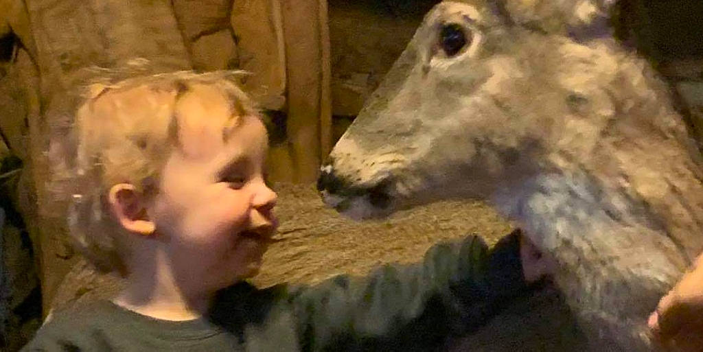 Terrance is registered to the contest to win money with this photo: goats, head, mammal, person, snout, vertebrate, wildlife, working_animal