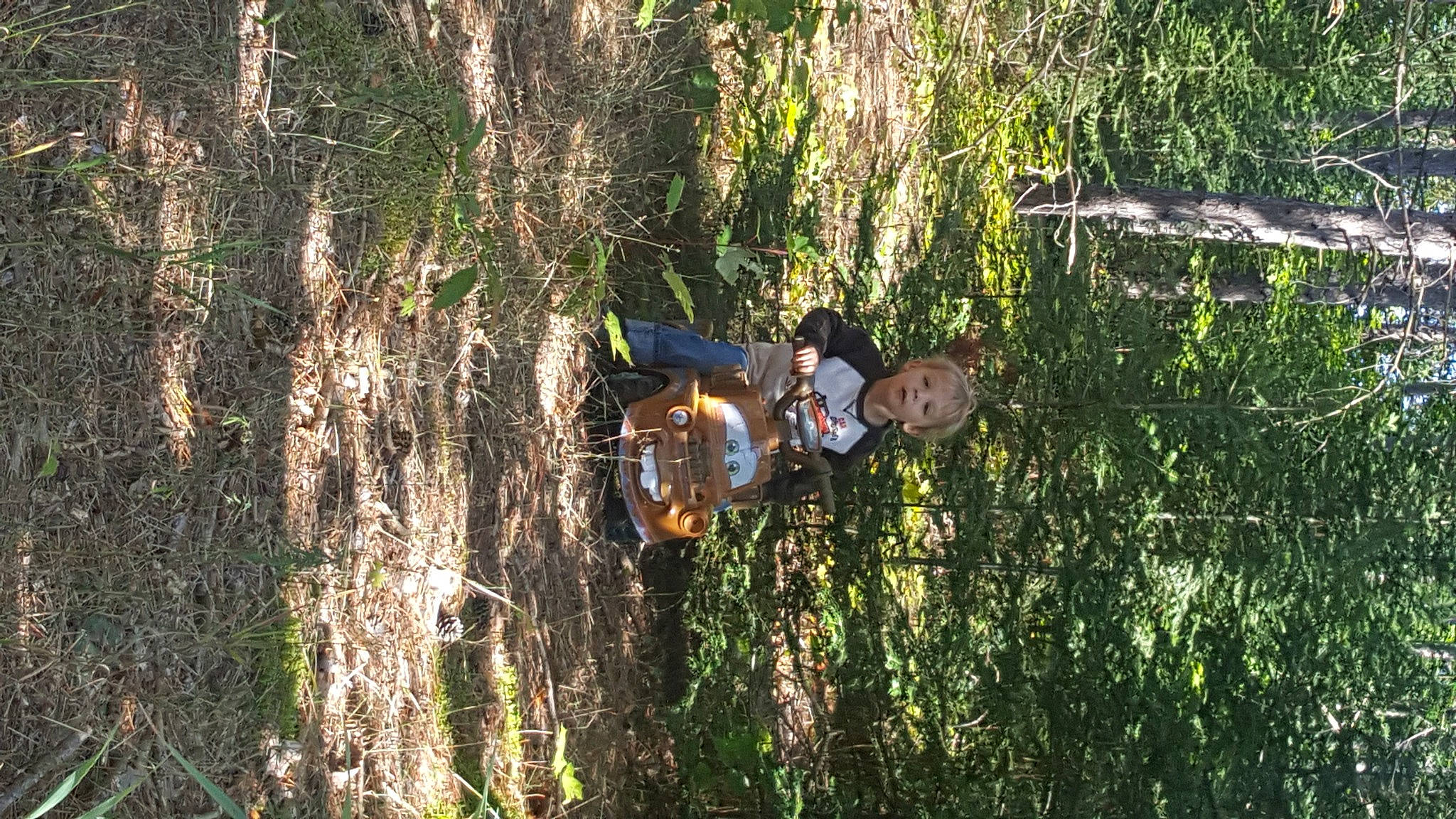 Terrance joined the competition — help win amazing prizes! biome, forest, jungle, natural_environment, old_growth_forest, organism, person, plant, recreation, temperate_broadleaf_and_mixed_forest, tree, trunk, wildlife, woodland