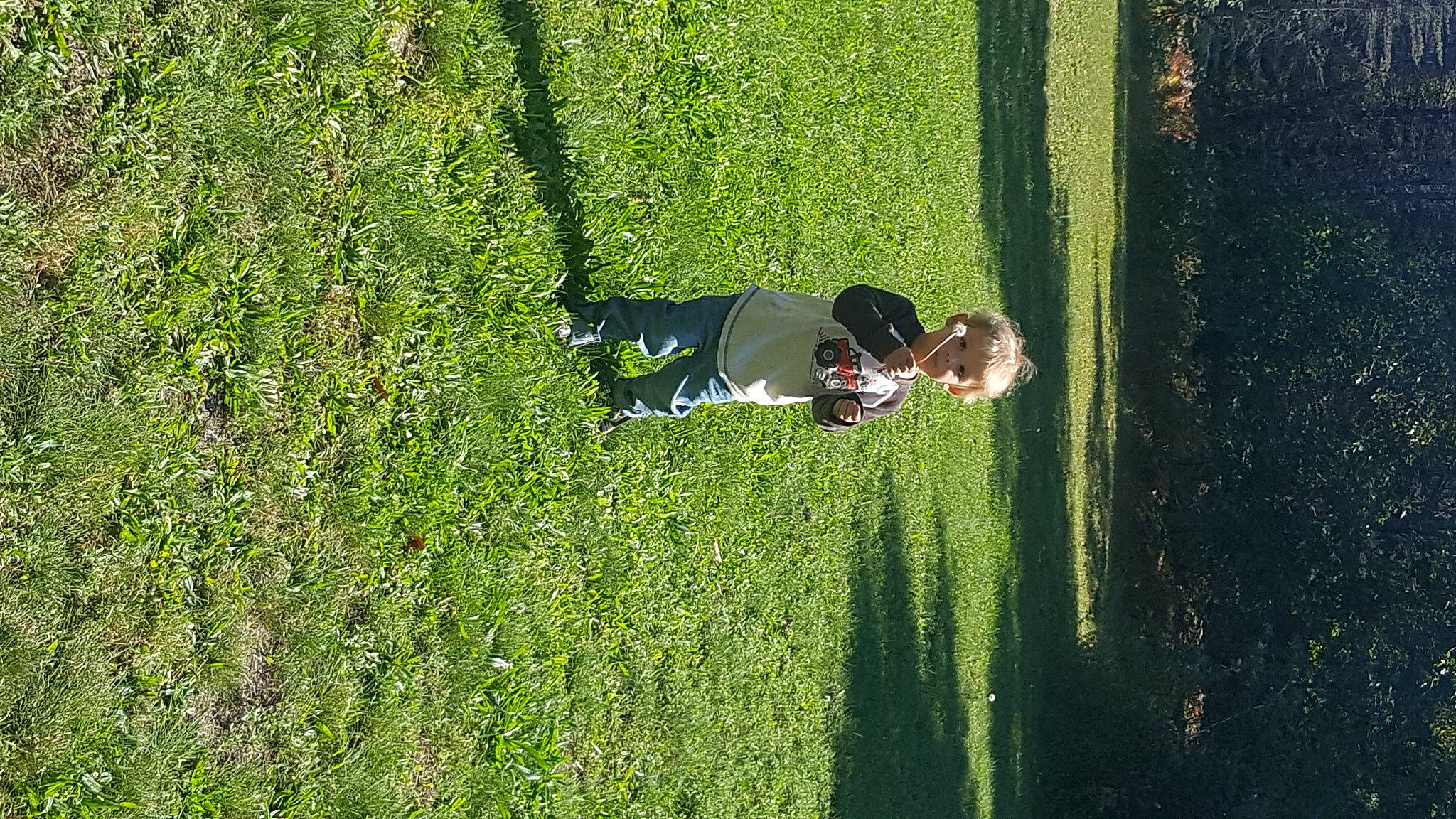 Terrance is registered to the contest to win money with this photo: grass, grass_family, green, lawn, leaf, leisure, person, plant, shrub, tree