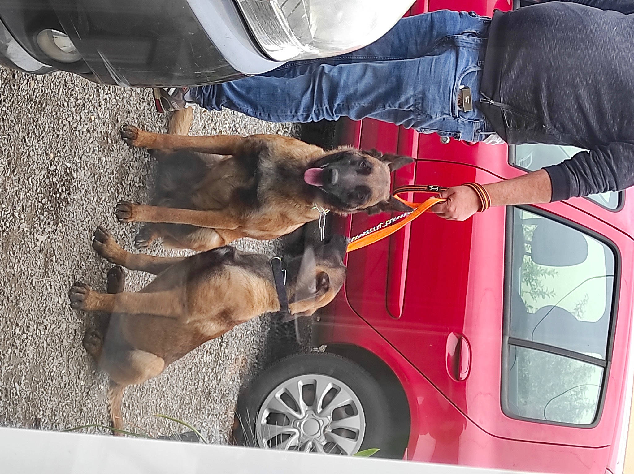 Rubie a rejoint le concours — aidez-le/la à gagner de superbes lots ! auto_part, automotive_design, automotive_exterior, automotive_lighting, automotive_tire, automotive_wheel_system, bumper, car, fender, hood, hubcap, human_leg, motor_vehicle, rim, tire, tread, vehicle, vehicle_door, wheel, window