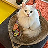 cat, white_cat, fluffy, basket, cat_toys, green_eyes, indoor, orange_rug, yellow_table, woven_basket, pet, feline, cute, cozy, domestic_cat, fur, toy_mouse, toy_fish, relaxing, home
