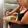 black_clothing, casual, cat, closeup, comfort, couch, earrings, feline, glasses, happy_cat, home, indoor, jewelry, orange_cat, pet, relaxing, scratching, white_cat, woman, wood_floor