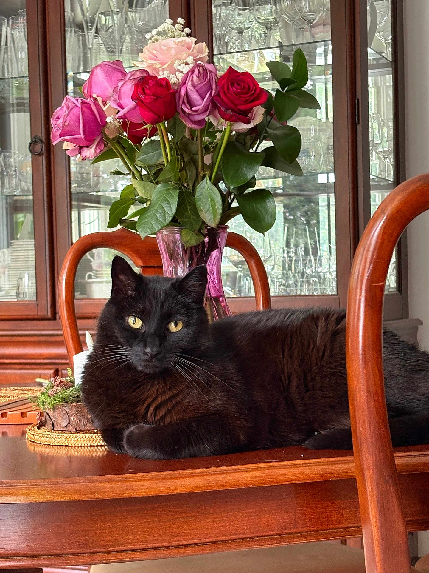 Nero joined the competition — help win amazing prizes! animal, black_cat, cat, closeup, decor, domestic_animal, floral_arrangement, flowers, furniture, glass_cabinet, glassware, indoor, leafy_plants, pet, relaxed, roses, table, vase, wooden_furniture, yellow_eyes