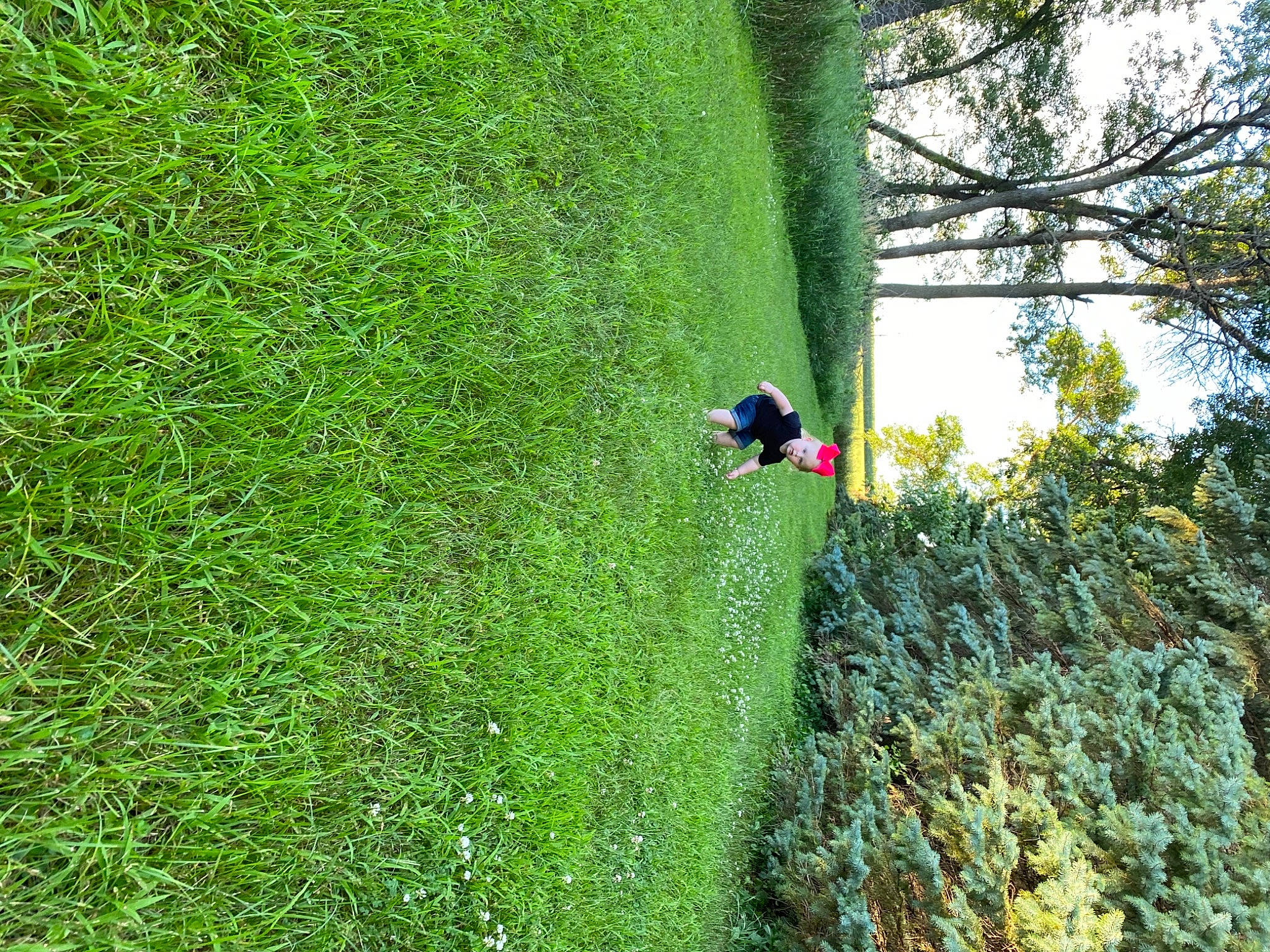 Arabella is registered to the contest to win money with this photo: field, flowering_plant, garden, grass, grass_family, grassland, green, groundcover, lawn, leaf, meadow, pasture, people_in_nature, person, poales, shrub, terrestrial_plant