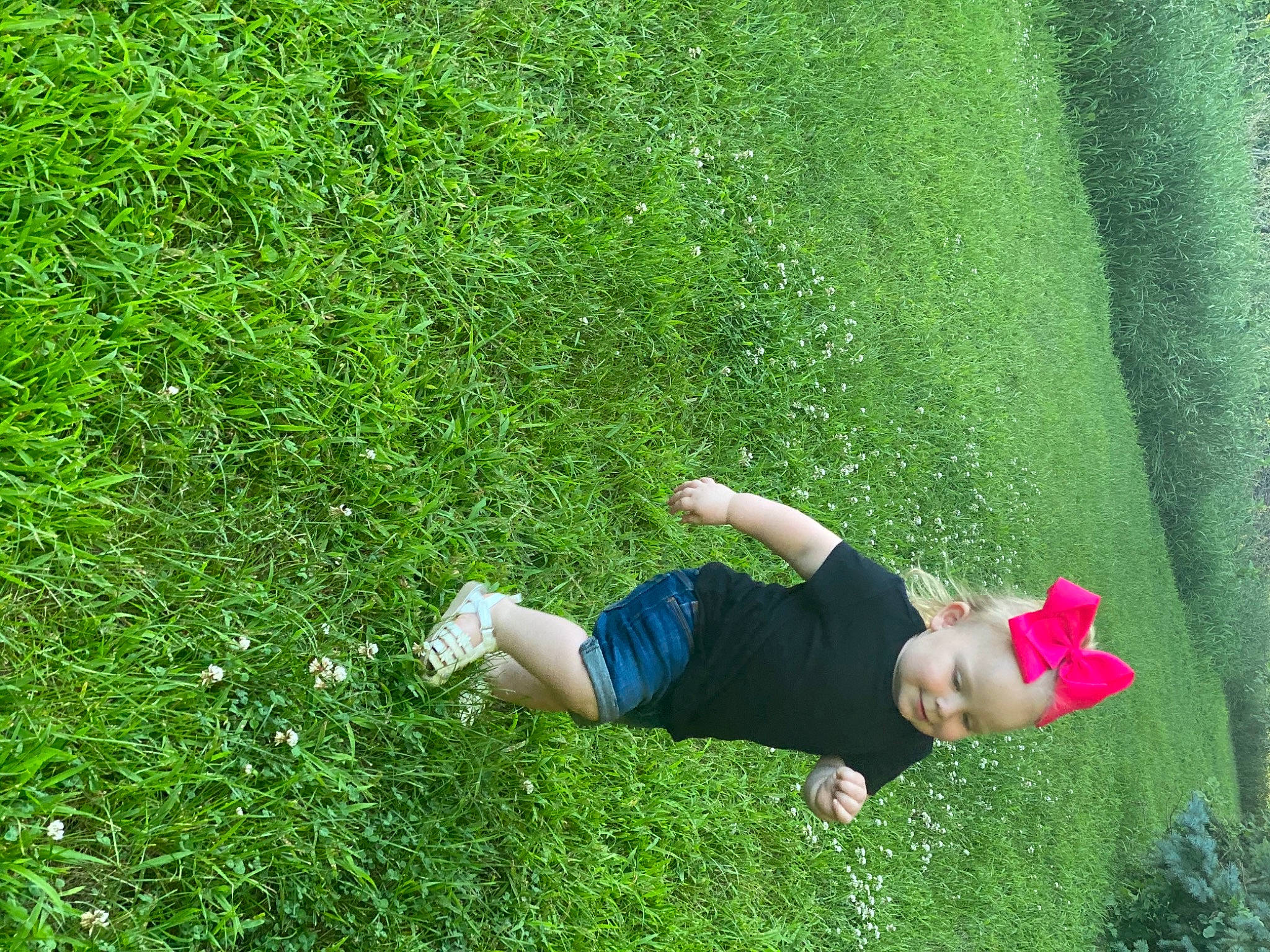 Arabella joined the competition — help win amazing prizes! field, flowering_plant, garden, grass, grass_family, grassland, green, groundcover, hand, hedge, human, lawn, mammal, meadow, people_in_nature, person, play, poales, shrub, summer