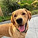 Cooper