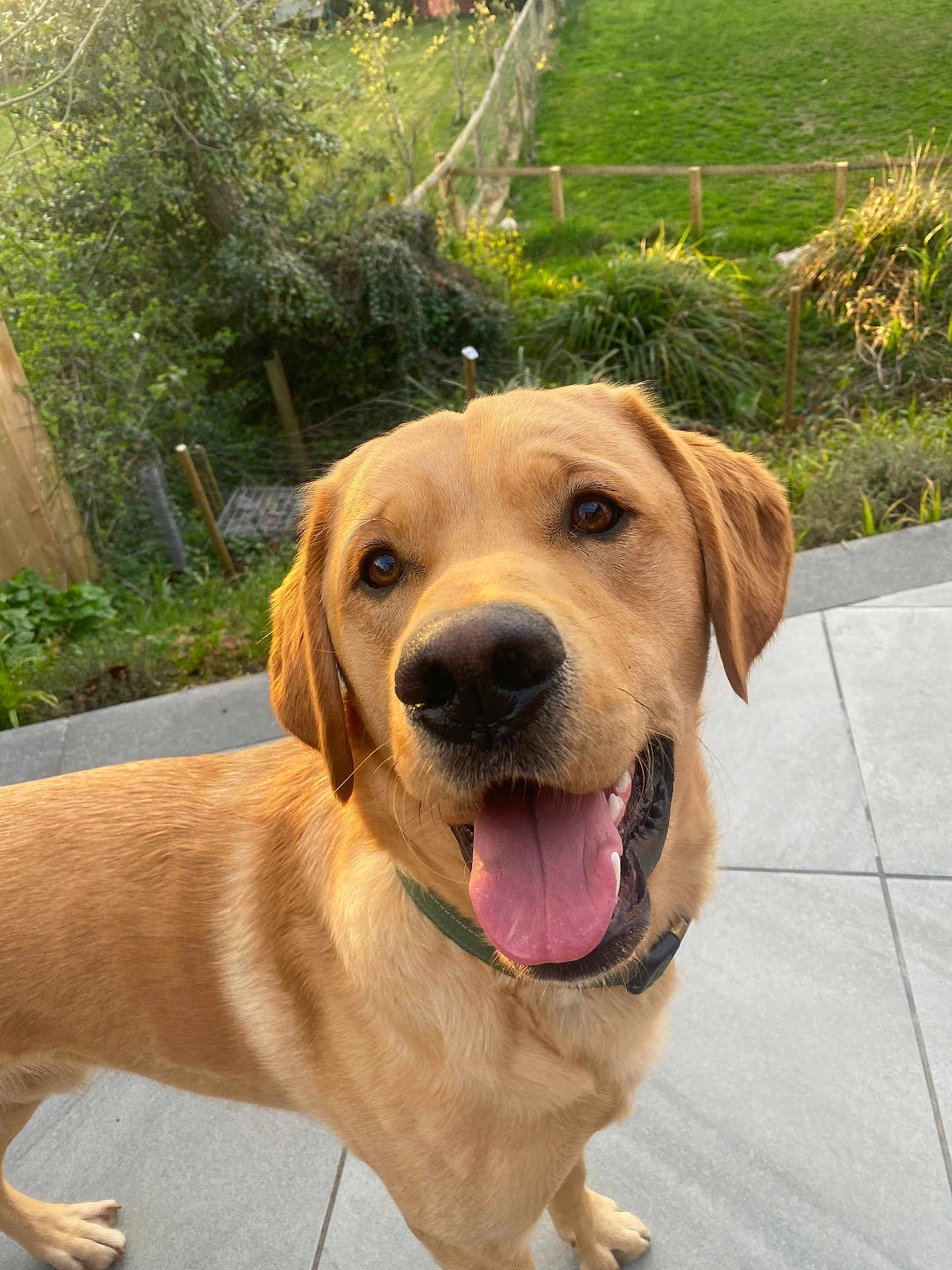 Cooper