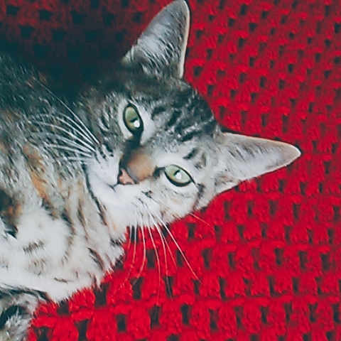 Ellie