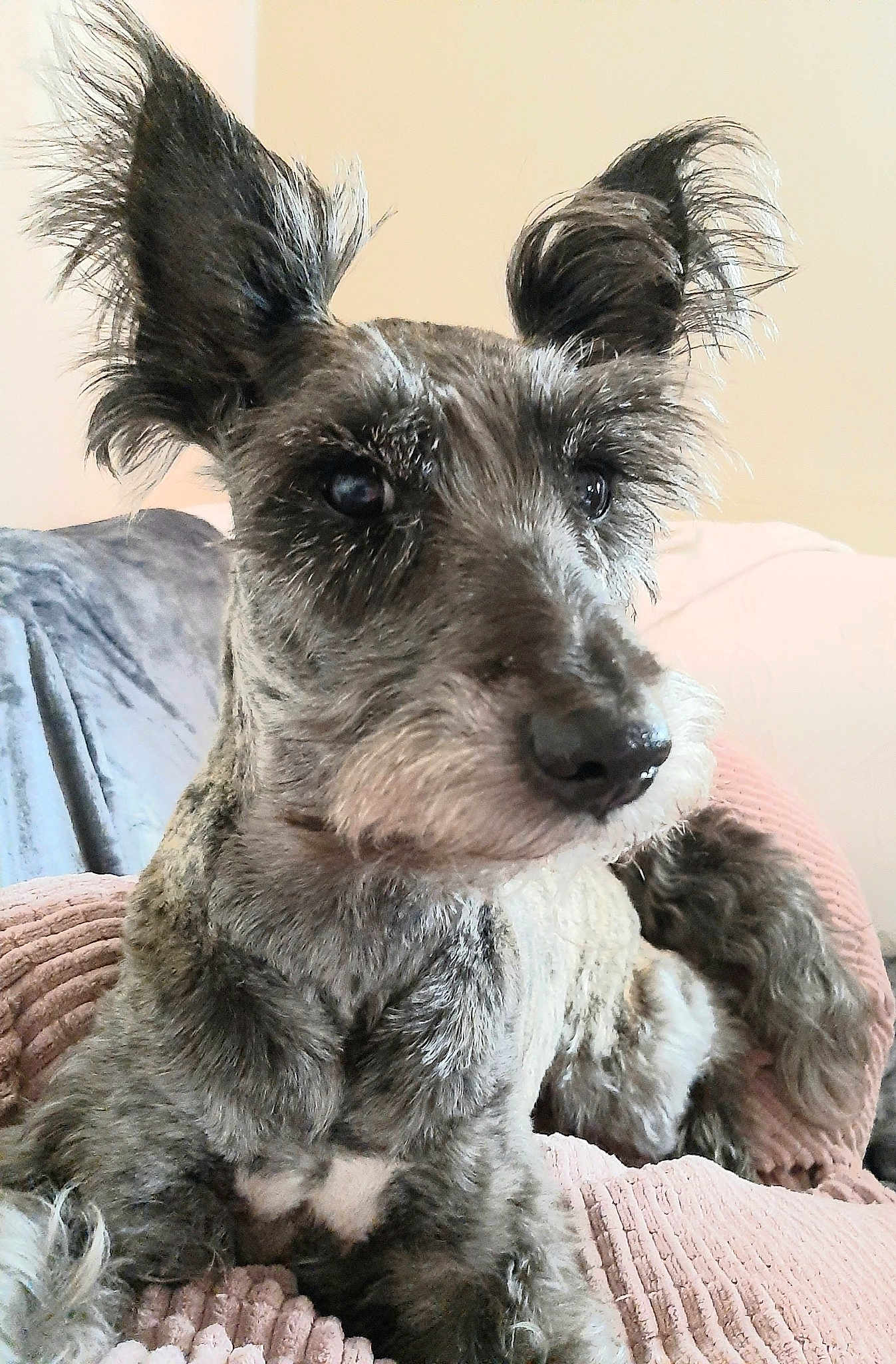 Mr Winston