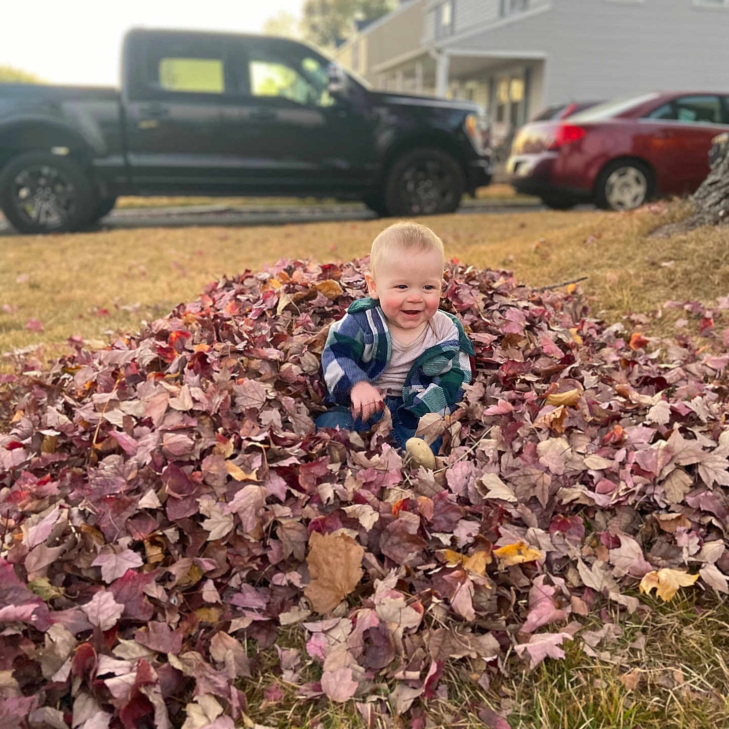 William is registered to the contest to win money with this photo: architecture, baby, building, car, face, grass, head, leaf, neighborhood, outdoors, person, photography, plant, portrait, shelter, soil, suv, transportation, vegetation, vehicle
