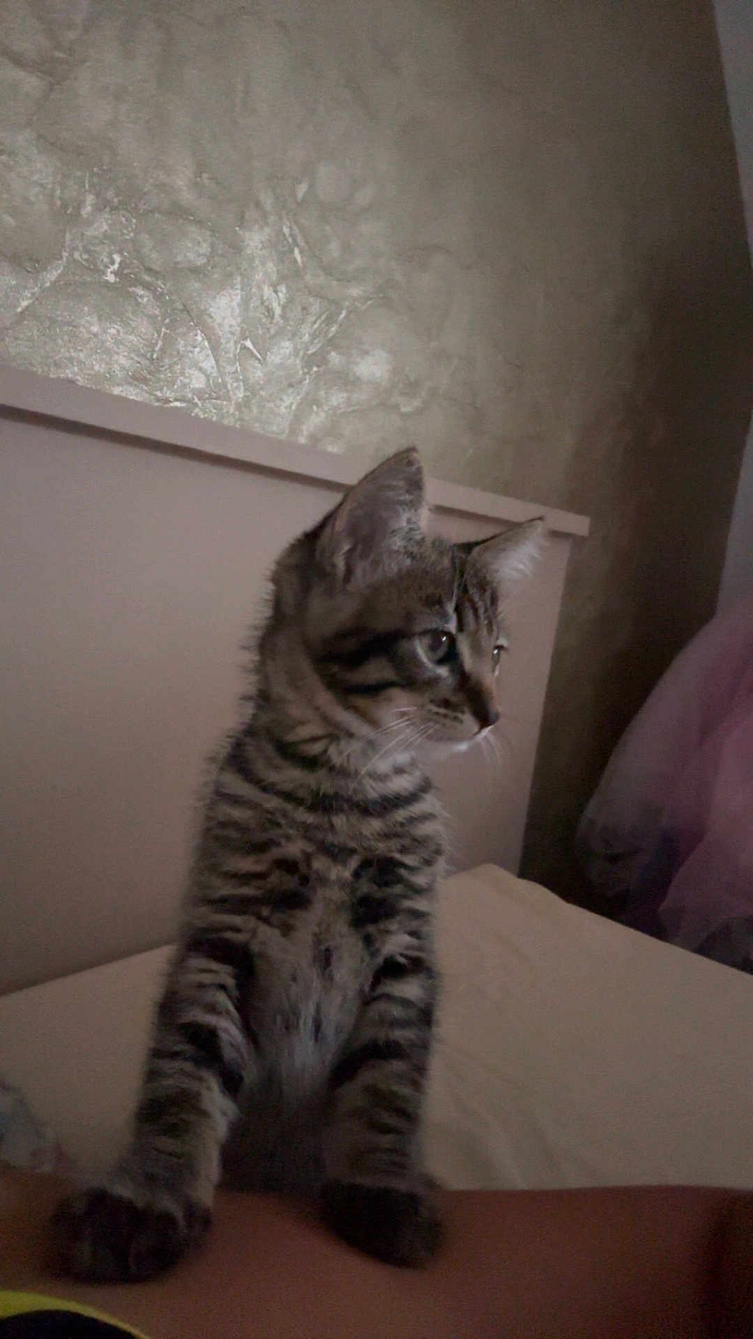 Ayko