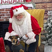 Gretel is registered to the contest to win money with this photo: santa_claus, dog, christmas, holiday, yellow_chair, wood_paneling, fireplace, decorations, sweater, leash, glasses, beard, fur, indoor, floor, gift_bag, tree, ornaments, festive, seated