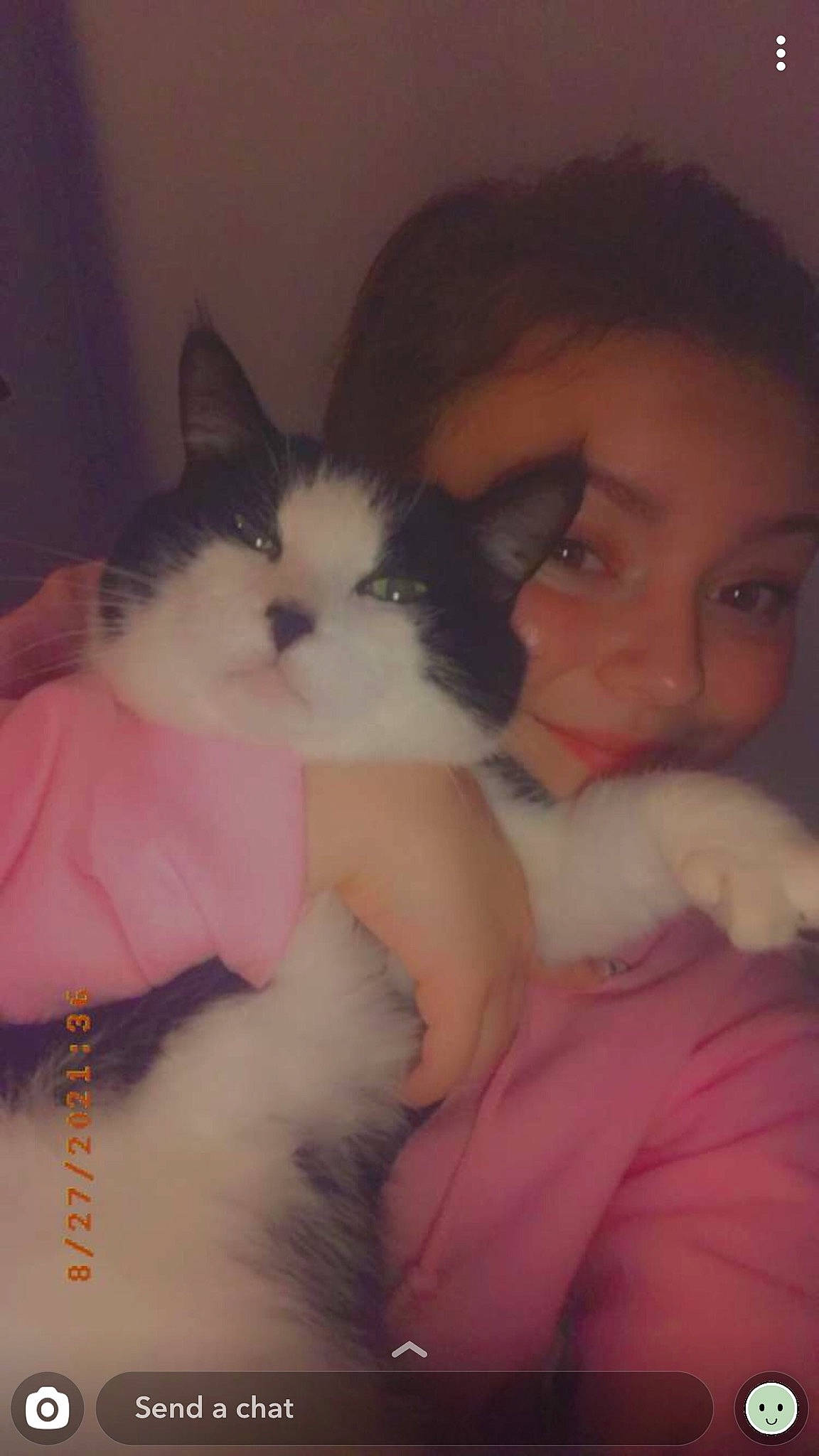 Rafiki joined the competition — help win amazing prizes! black_hair, carnivore, cat, comfort, felidae, fur, human, iris, love, organ, pink, skin, small_to_medium_sized_cats, vertebrate, whiskers