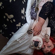 Storm joined the competition — help win amazing prizes! canidae, carnivore, companion_dog, dog, dog_breed, dress, event, eyewear, fictional_character, flesh, fun, fur, gesture, happy, human_leg, pattern, toy_dog, tradition, tree, zombie