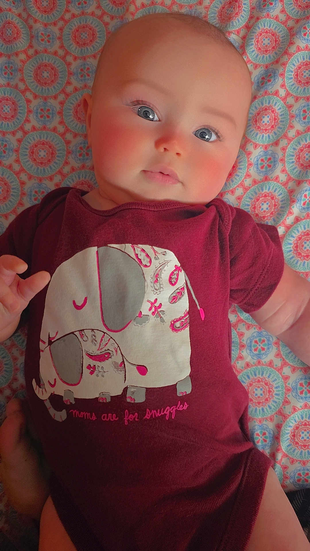 Andi joined the competition — help win amazing prizes! baby, infant, onesie, elephant_graphic, patterned_blanket, rosy_cheeks, blue_eyes, face, head, hand, arm, lying_down, portrait, closeup, pink_cheeks, maroon_clothing, fabric, smiling, cute, indoor