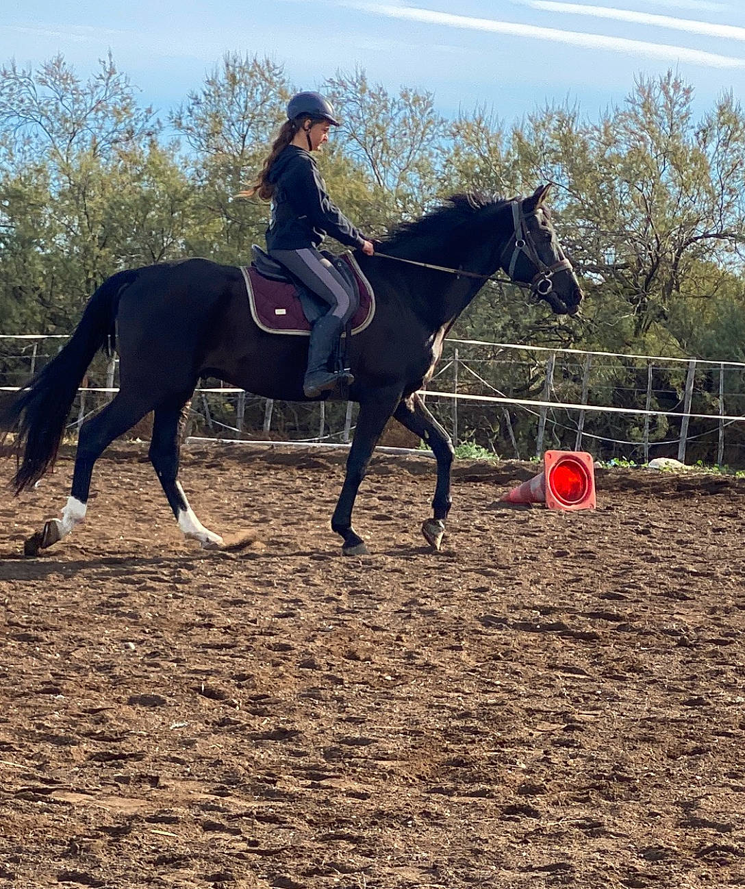 Mya a rejoint le concours — aidez-le/la à gagner de superbes lots ! bit, bridle, english_pleasure, english_riding, equestrian_helmet, equestrian_sport, equestrianism, headwear, helmet, horse, horse_supplies, horse_tack, jockey, landscape, mane, pack_animal, person, rein, saddle, sky