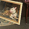 dog, canine, white_dog, tan_dog, lying_down, sitting, portrait, picture_frame, framed_picture, collar, pet_tag, indoor, living_room, couch, rug, carpet, furniture, bookshelf, wooden_table, home_decor