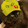 animal, black_cat, cat, close_up, comfy, cozy, cute, domestic_animal, fluffy, fur, green_hat, grinch, holiday, indoor, knit_hat, pet, portrait, relaxed, whiskers, yellow_eyes