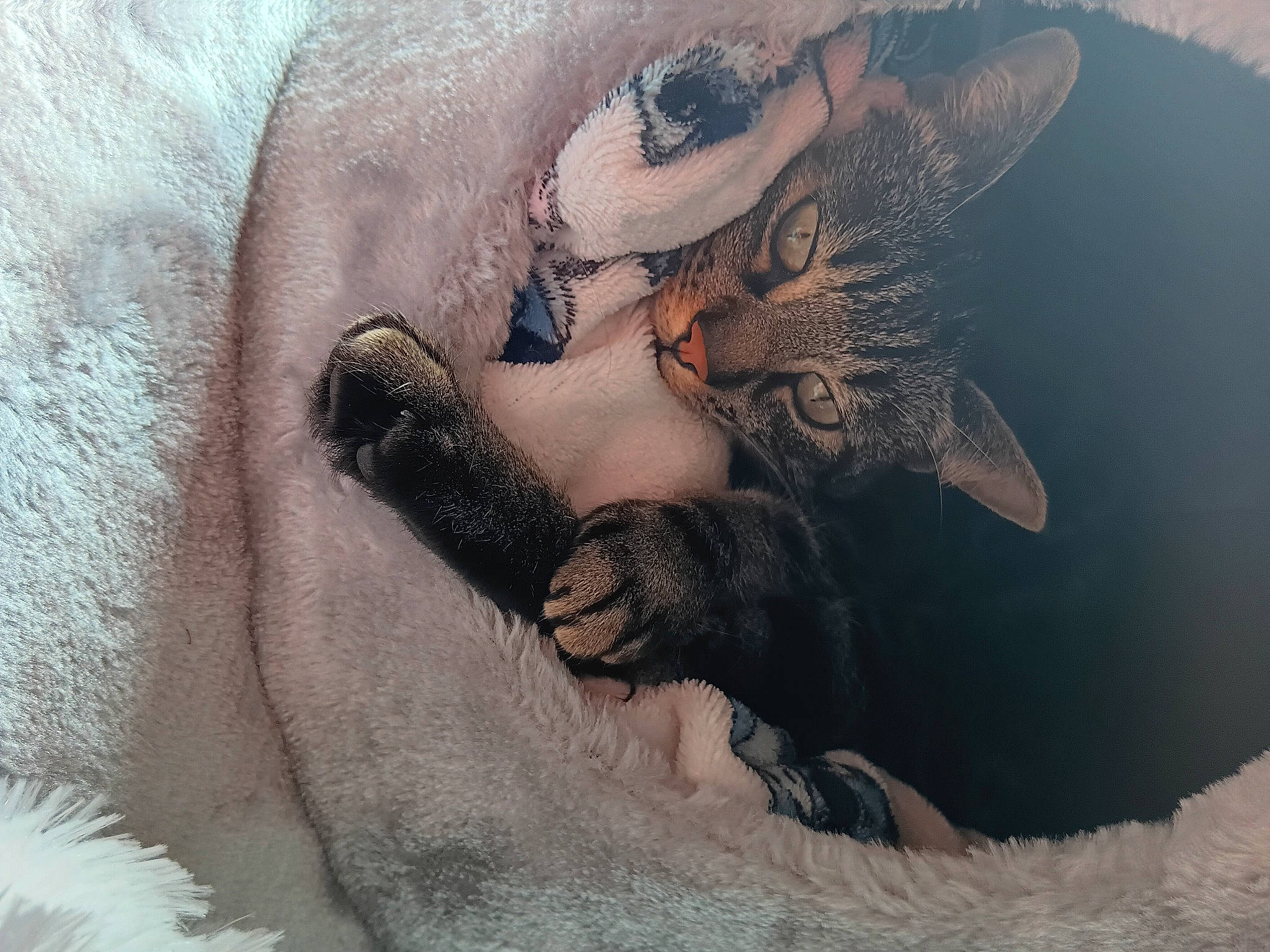 Pandõra participe au concours pour gagner de l'argent avec cette photo : art, back, beard, cg_artwork, chest, eyelash, facial_hair, figure_drawing, flesh, foot, fur, gesture, human_leg, moustache, paw, tattoo, visual_arts, wildlife, wing, winter