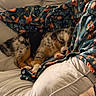 Molly joined the competition — help win amazing prizes! puppy, dog, sleeping, blanket, couch, indoor, cozy, furniture, pet, fur, animal, relaxing, comfort, rest, colorful, pattern, soft, tricolor, paw, cute