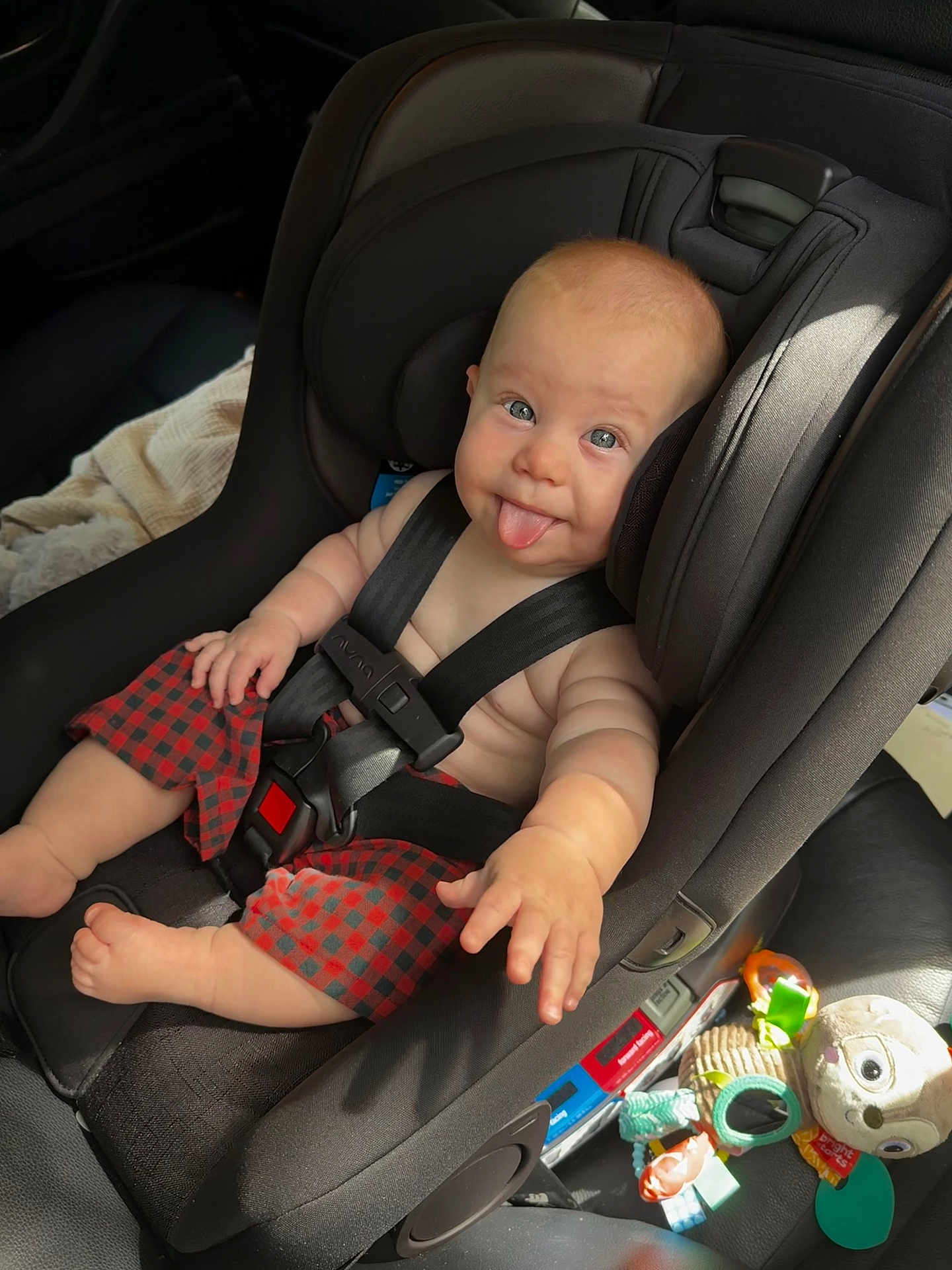 Loki is registered to the contest to win money with this photo: baby, car_seat, child, tongue_out, blue_eyes, red_shorts, seatbelt, car_interior, toy, plush_toy, cute, smiling, sitting, infant, playful, sunlight, seat, child_safety, happy, casual