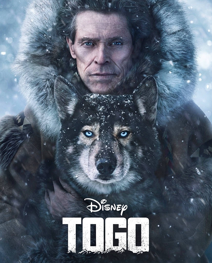 Perle participe au concours pour gagner de l'argent avec cette photo : beard, canidae, carnivore, companion_dog, darkness, dog, dog_breed, fang, fictional_character, flash_photography, fur, fur_clothing, happy, photo_caption, poster, snout, terrestrial_animal, whiskers, wildlife, winter