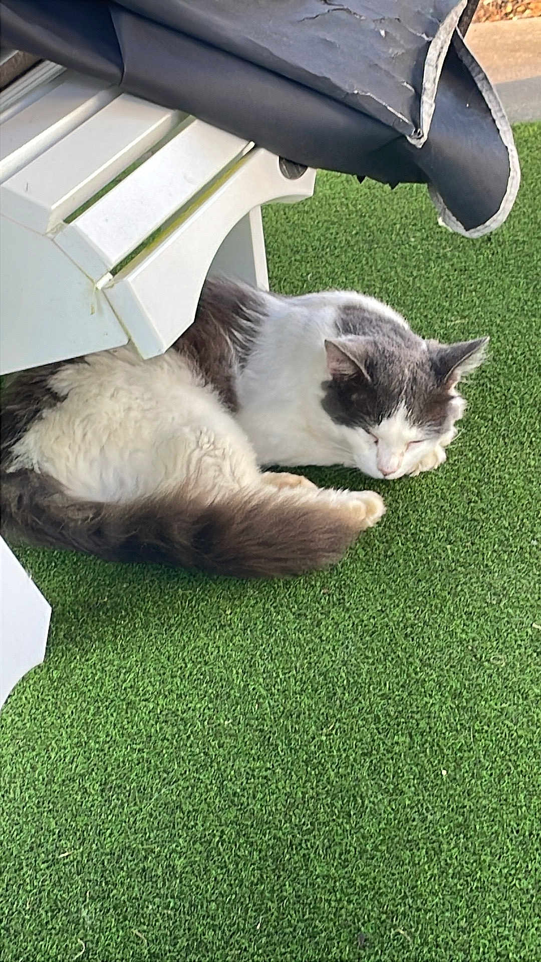 Casper