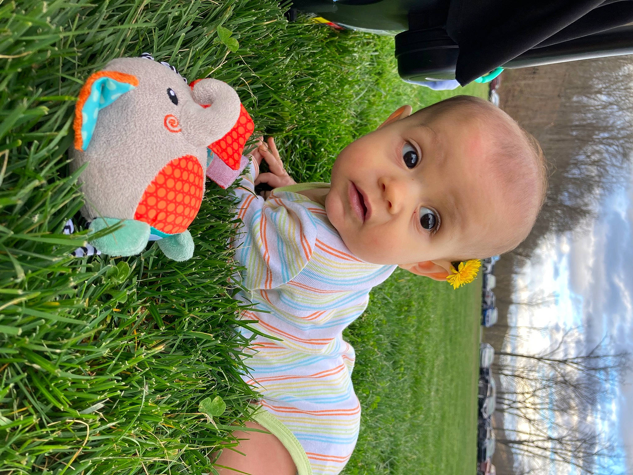Madelyn is registered to the contest to win money with this photo: baby, baby_toddler_clothing, botany, child, fun, grass, green, happy, leaf, leisure, nose, people_in_nature, person, plant, skin, summer, toddler, toy, tree, vertebrate