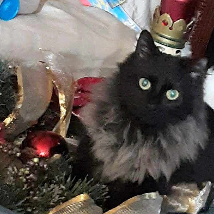 Kiki