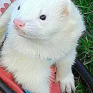 Copain a rejoint le concours — aidez-le/la à gagner de superbes lots !