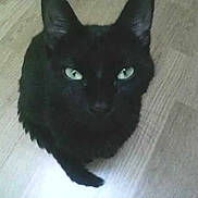 Miyou participe au concours pour gagner de l'argent avec cette photo :