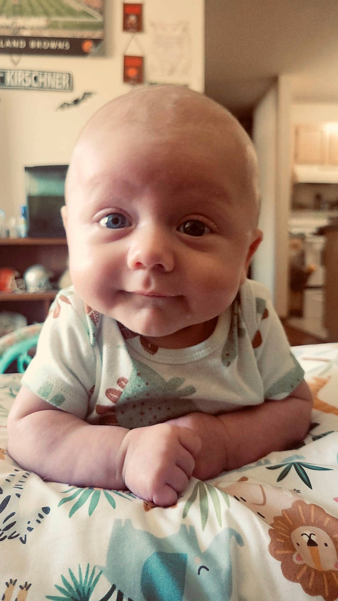 Jordan is registered to the contest to win money with this photo: baby, baby_toddler_clothing, cheek, child, chin, comfort, eye, finger, grass, happy, human_body, iris, linens, mouth, nose, person, sitting, skin, sleeve, smile