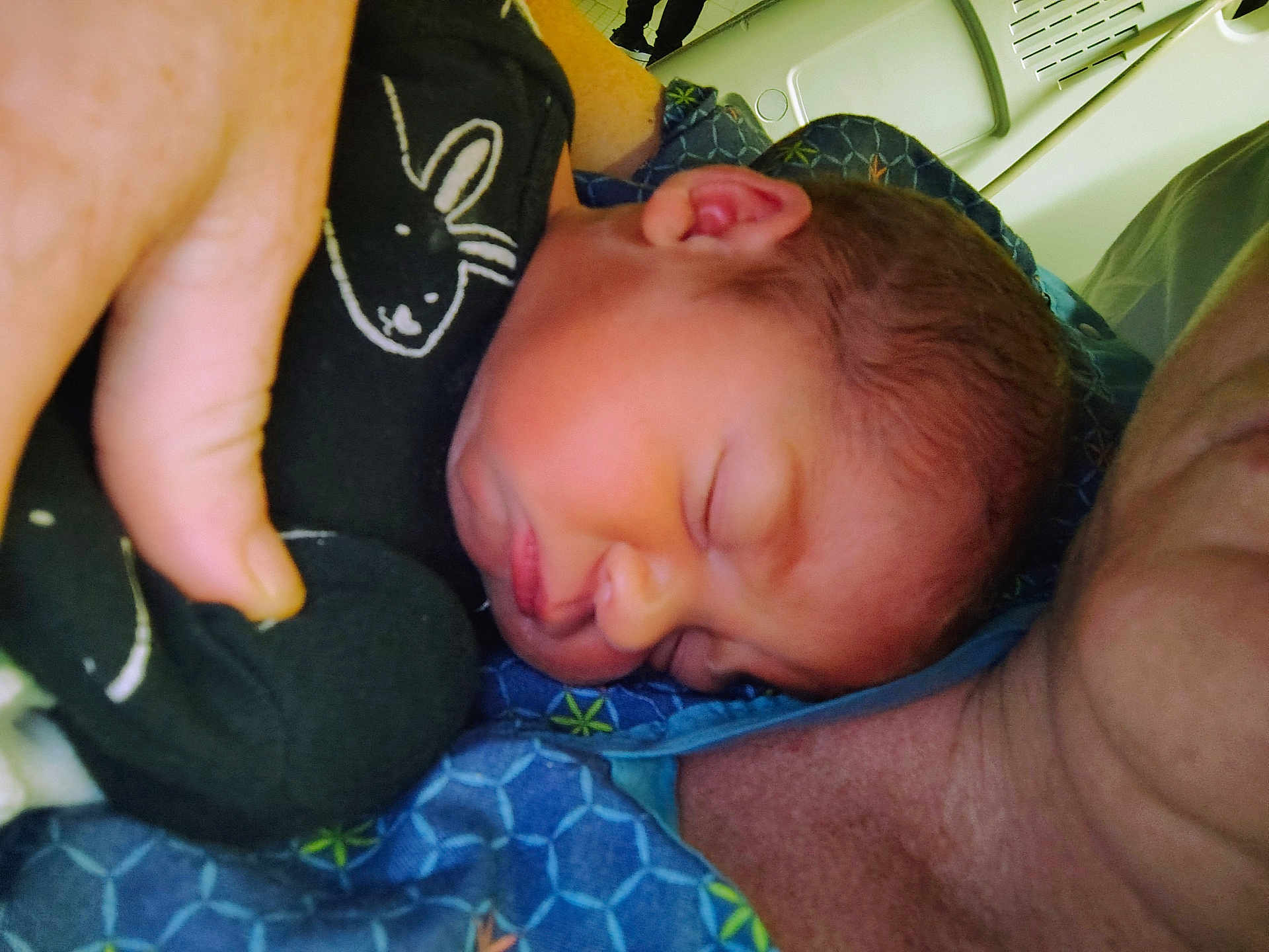Harley joined the competition — help win amazing prizes! newborn, baby, sleeping, adult, hand, blanket, bunny_design, closeup, face, skin, comfort, rest, patterned_shirt, blue_shirt, person, indoors, tender_moment, peaceful, child, portrait