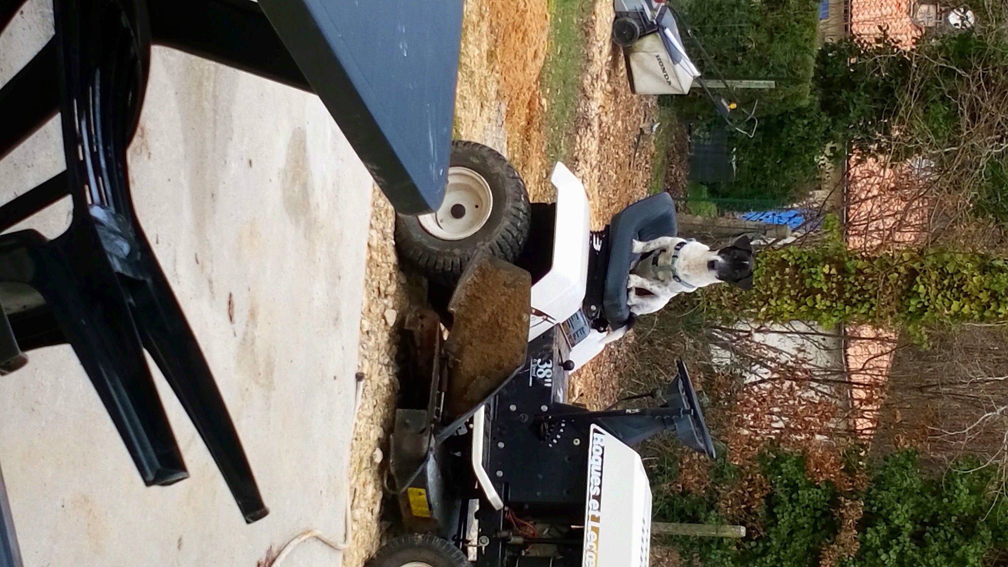 Eliot participe au concours pour gagner de l'argent avec cette photo : alloy_wheel, auto_part, automotive_design, automotive_exterior, automotive_lighting, automotive_tire, automotive_wheel_system, bumper, fender, hood, motor_vehicle, plant, rim, rolling, tire, tire_care, tread, vehicle, vehicle_door, wheel