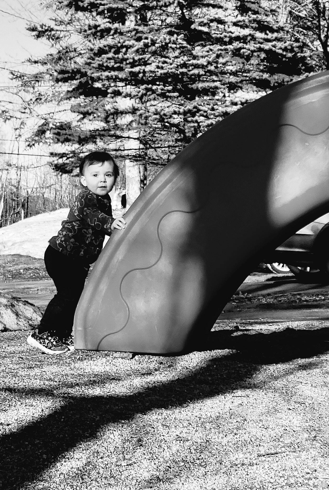 Kali is registered to the contest to win money with this photo: black, branch, foot, gesture, grass, human_leg, landscape, leg, leisure, people_in_nature, person, plant, road_surface, shoe, standing, style, tints_and_shades, tree, trunk, wood