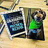 bandana, black_mat, canine, chalkboard, dog, glass_door, graduation, green_bandana, happy, indoor, mat, office_chair, paw_prints, pet, physical_rehab, sign, sitting, smiling_dog, therapy, wood_floor