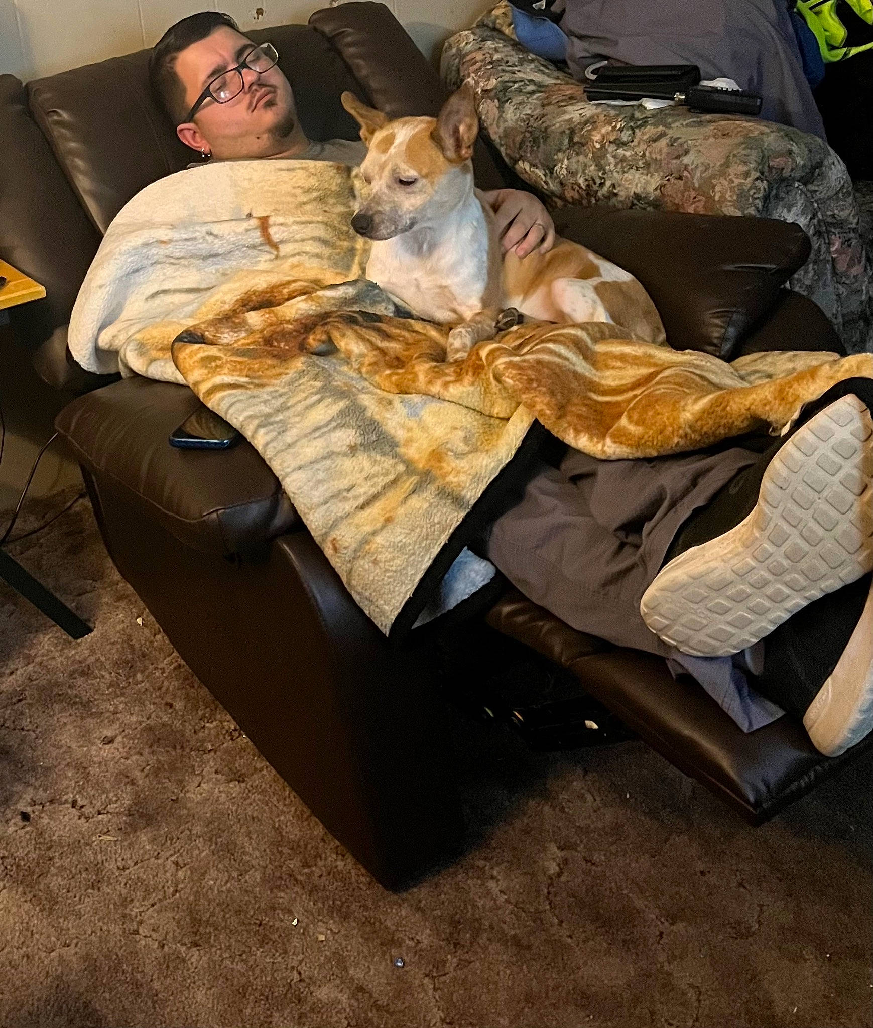 Carmella joined the competition — help win amazing prizes! automotive_design, bag, canidae, carnivore, chair, comfort, companion_dog, couch, eyewear, fawn, felidae, fur, linens, luggage_and_bags, nap, room, sitting, small_to_medium_sized_cats, toy, whiskers