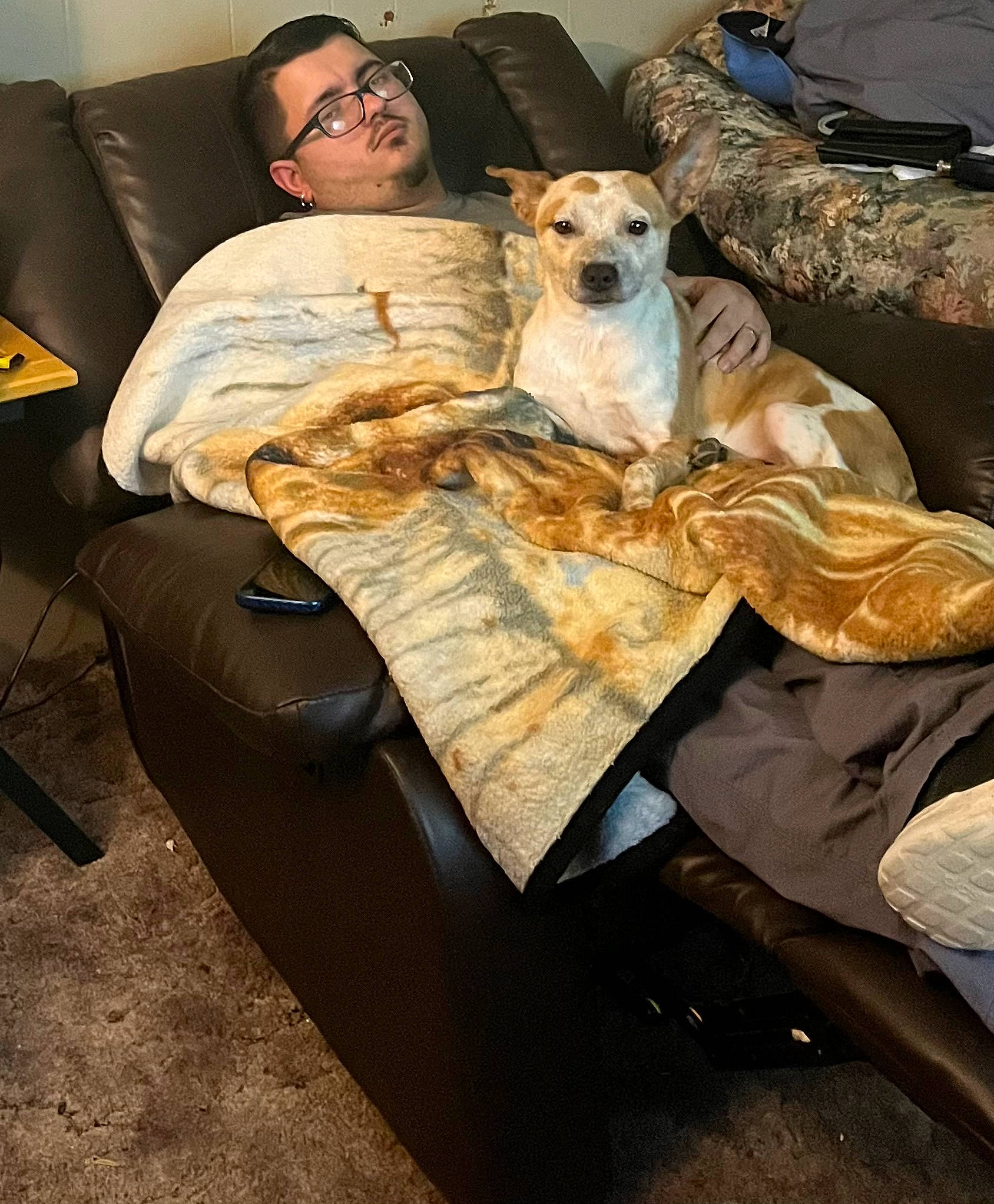 Carmella joined the competition — help win amazing prizes! bedding, borzoi, canidae, carnivore, comfort, companion_dog, couch, dog, dog_breed, eyewear, fawn, fur, furniture, linens, mammal, room, sitting, sporting_group, studio_couch, vertebrate