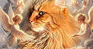 Orphée a rejoint le concours — aidez-le/la à gagner de superbes lots ! angel, angels, animal_portrait, cat, clouds, digital_art, fantasy, feline, fluffy, glowing, green_eyes, heavenly, long_hair, orange_cat, sparkles, spiritual, surreal, warm_lighting, whiskers, wings