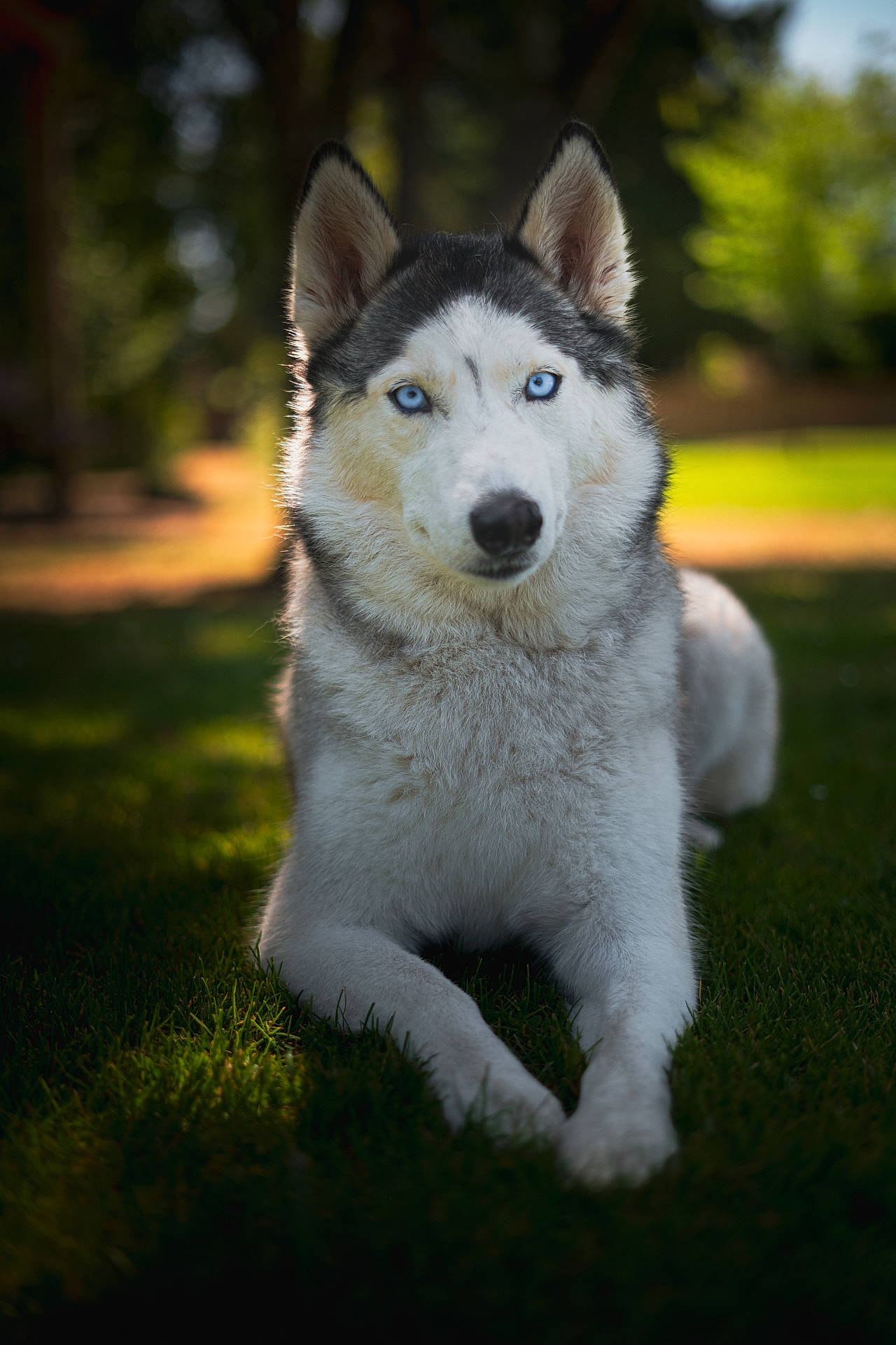 Mia