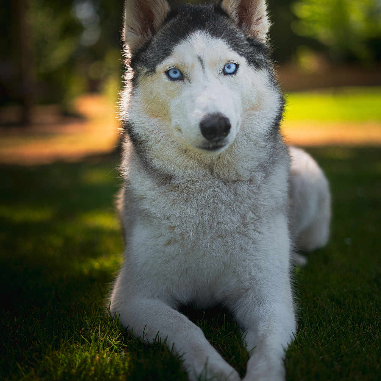 Mia