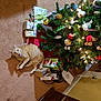 cat, orange_tabby, christmas_tree, ornaments, gifts, carpet, indoor, holiday, decorations, playing, pet, festive, lights, ribbon, box, bag, home, feline, animal, surprised