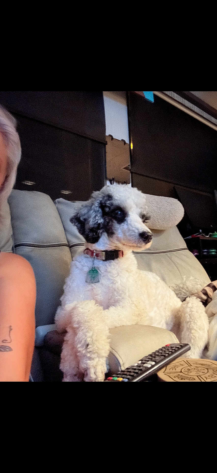 Bandit
