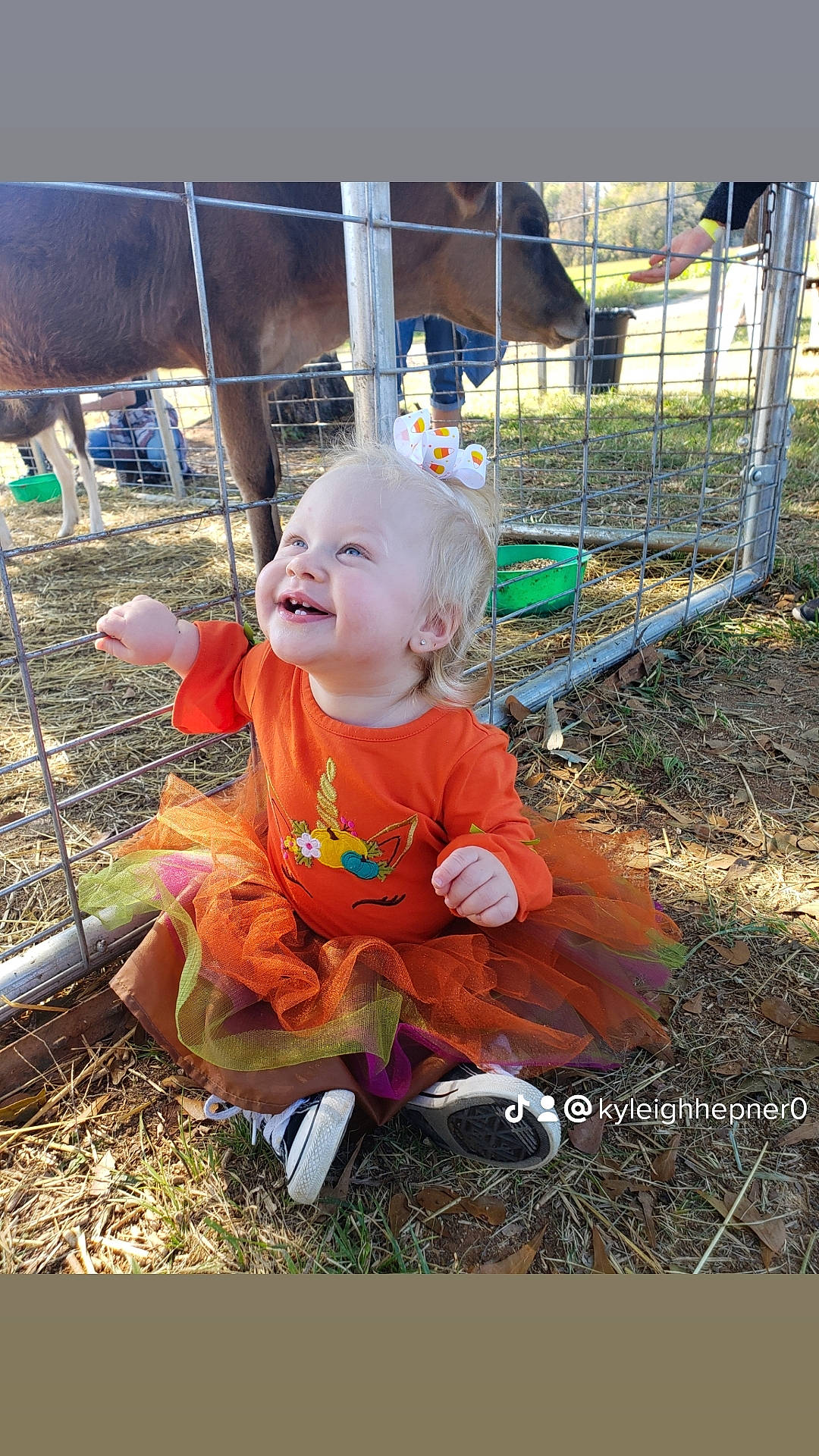 Kynsleigh is registered to the contest to win money with this photo: baby, baby_toddler_clothing, child, city, fun, grass, happy, joy, leisure, outdoor_play_equipment, people_in_nature, person, photo_caption, plant, play, recreation, sitting, smile, soil, toddler