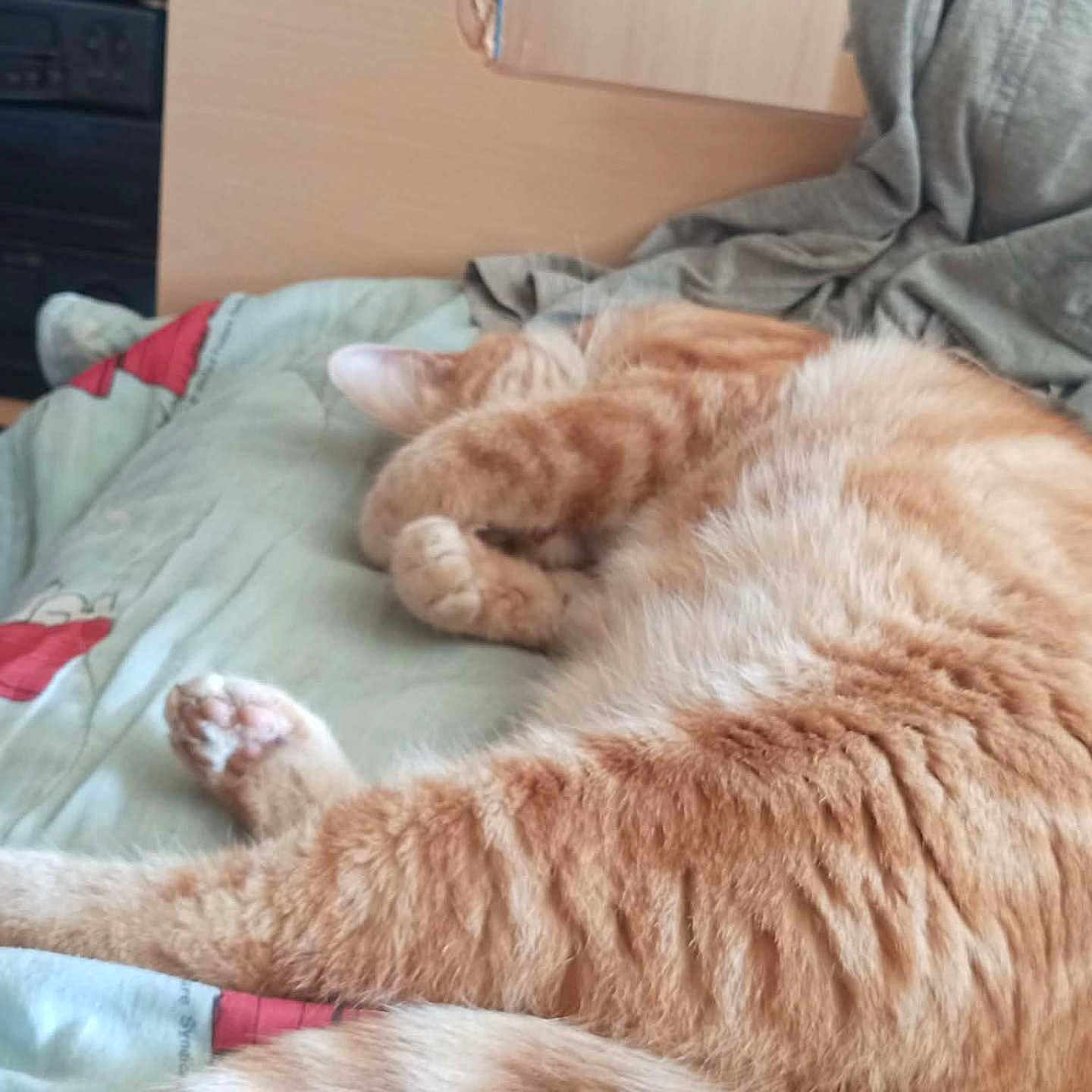 Caramel