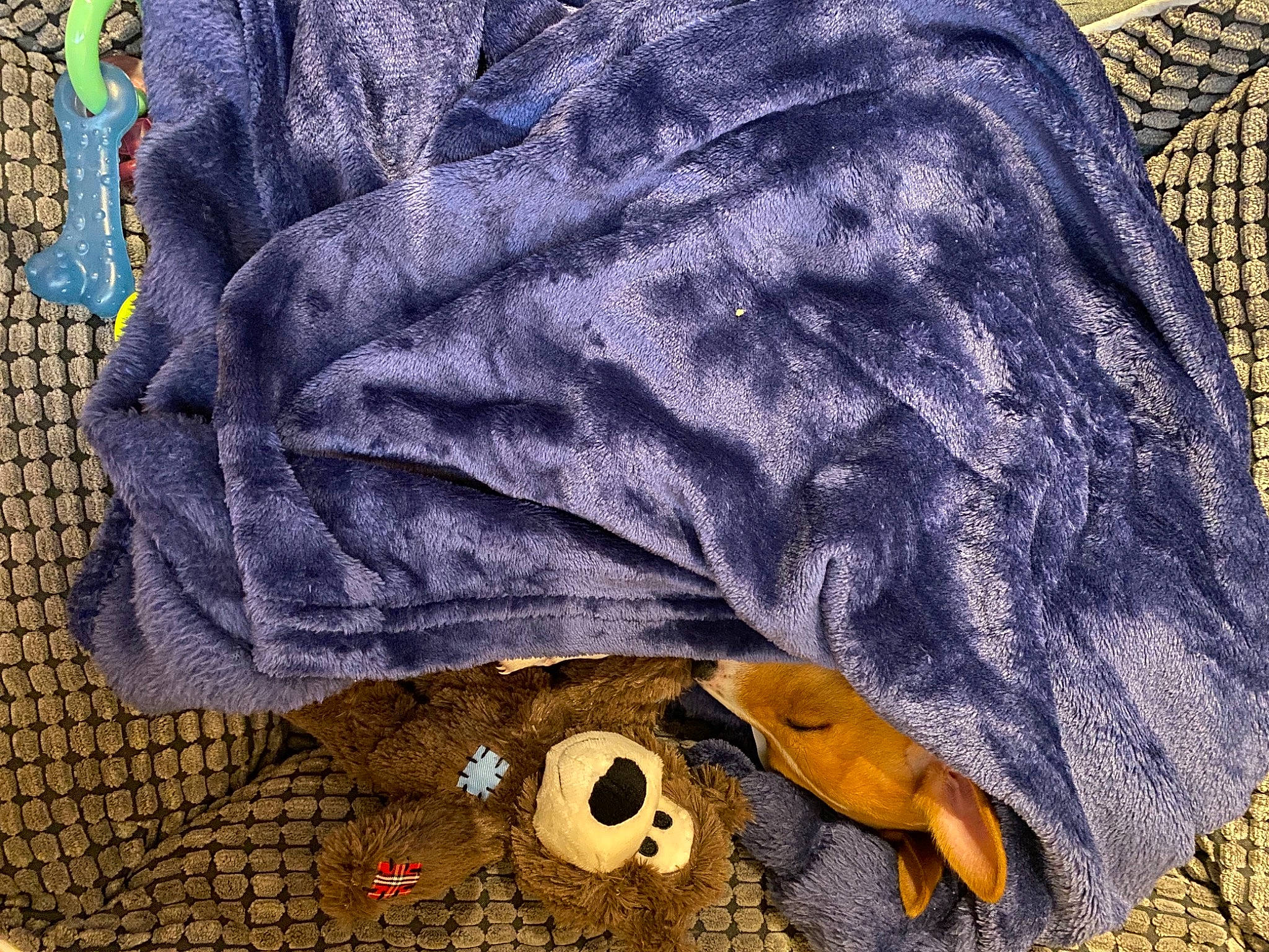 Spooky a rejoint le concours — aidez-le/la à gagner de superbes lots ! baby_toddler_clothing, black, circle, creative_arts, denim, electric_blue, fashion_accessory, font, grey, magenta, pattern, purple, sleeve, stitch, t_shirt, textile, visual_arts, wool, woolen, woven_fabric