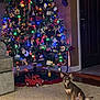 dog, christmas_tree, carpet, ornaments, lights, holiday_decor, indoor, furniture, couch, small_dog, brown_dog, door, wood_floor, wall, toy_truck, tree_skirt, decorations, festive, living_room, pet