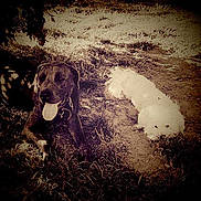 Iago participe au concours pour gagner de l'argent avec cette photo :