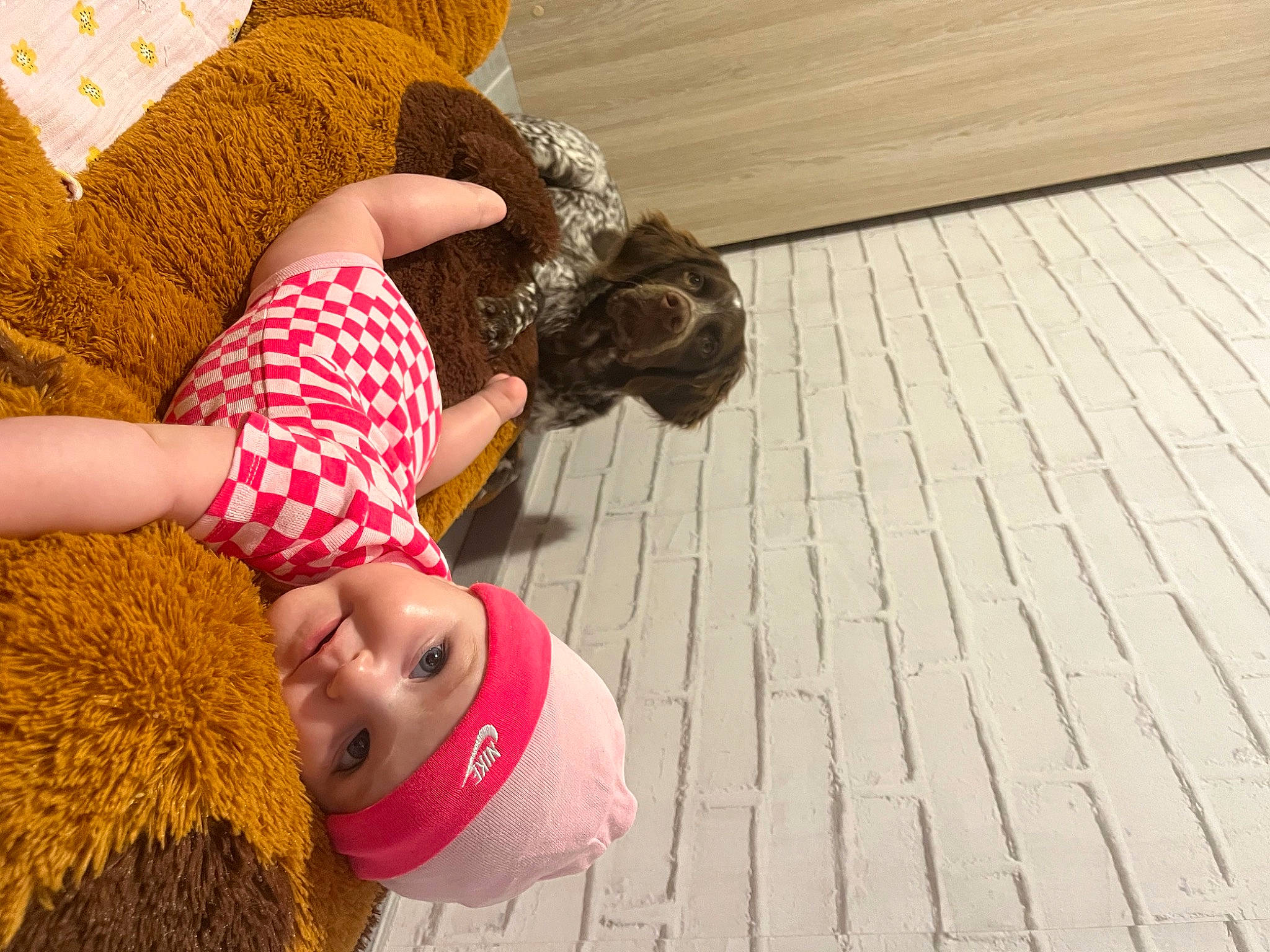Ninon participe au concours pour gagner de l'argent avec cette photo : child, comfort, fawn, floor, flooring, fun, grass, happy, hardwood, headwear, human_leg, joint, leisure, magenta, pattern, person, thigh, toddler, trunk, vacation