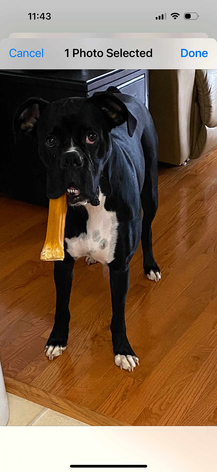 Duke